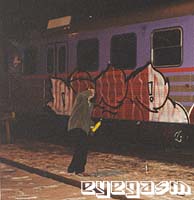 dise01.jpg