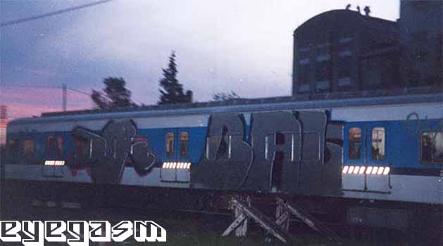 dk-bas01.jpg