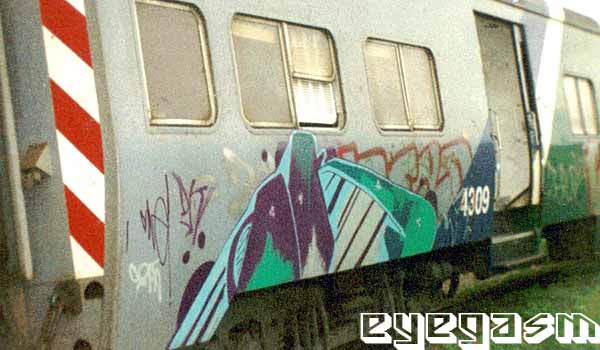 dk02.jpg