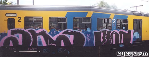 dks-bean01.jpg