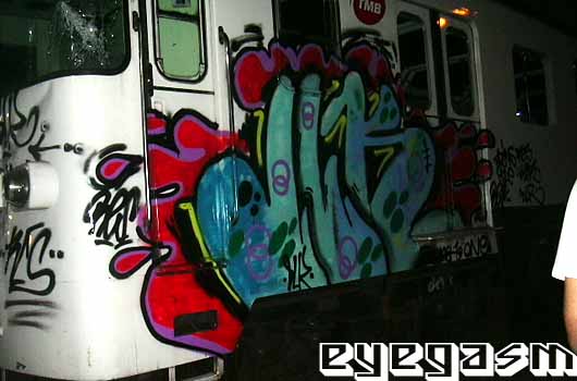 dlk01.jpg