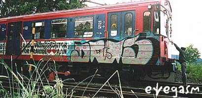 dms01.jpg