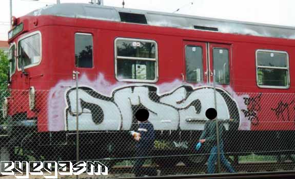 dms02.jpg