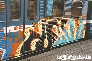 dne02.jpg