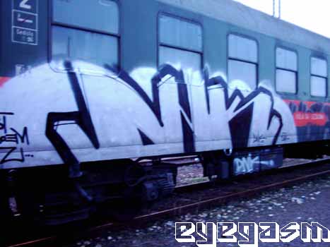 dnk01.jpg