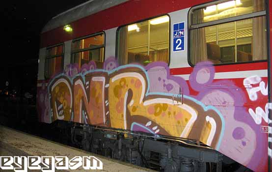 dnr01.jpg
