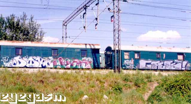 dok-just-gfers01.jpg