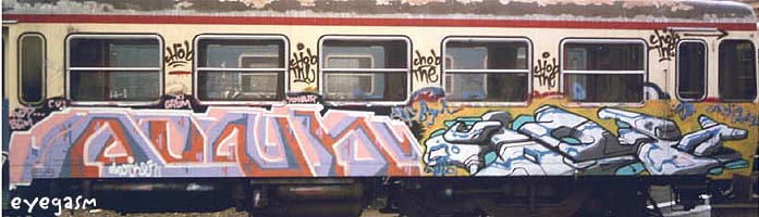 donk-verbo01.jpg