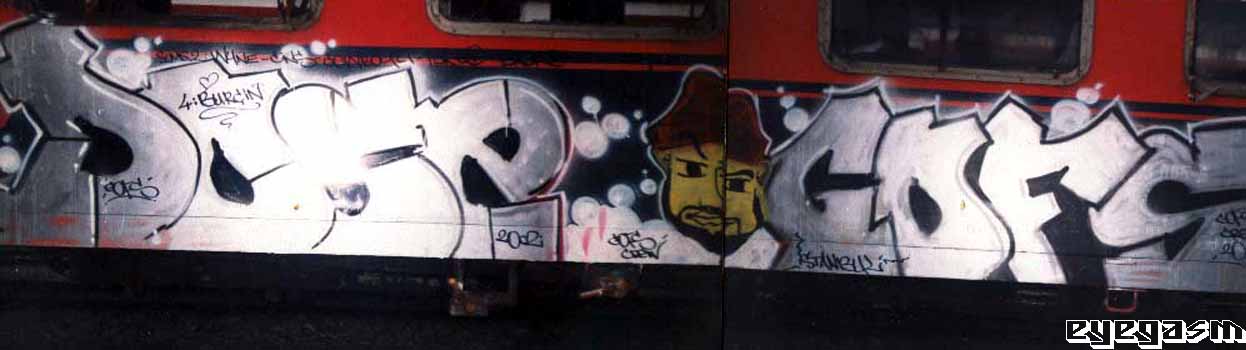 dose-gofs02.jpg