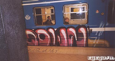 down03.jpg
