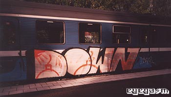 down05.jpg