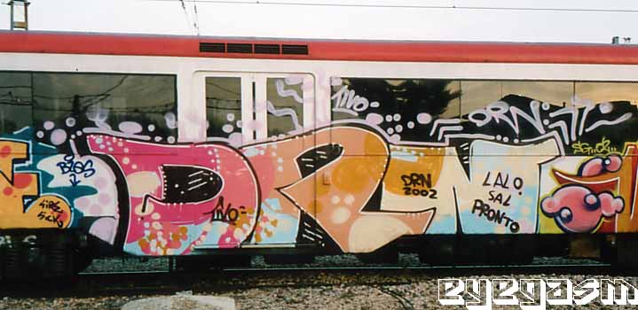 drn04.jpg
