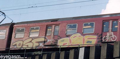 dsf01.jpg