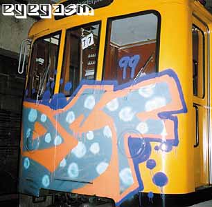 dsf02.jpg
