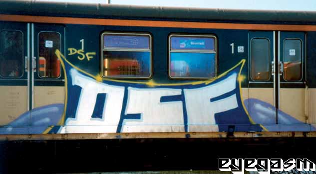 dsf04.jpg
