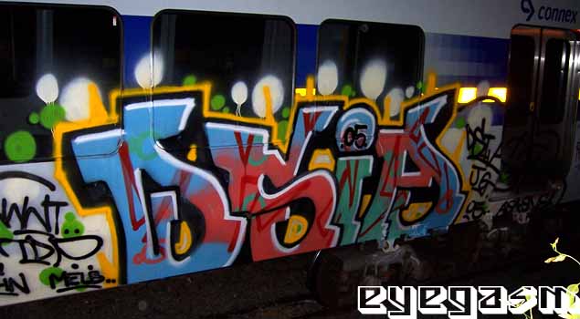 dsia03.jpg