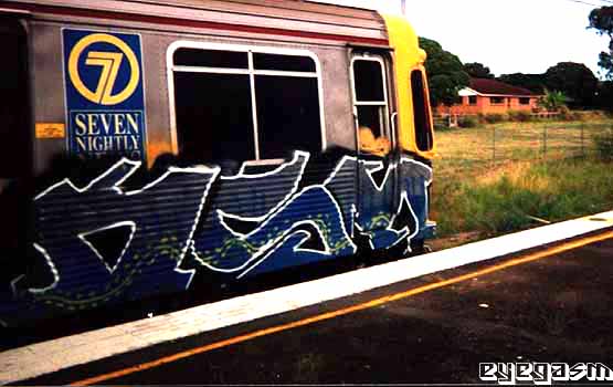 dsm01.jpg