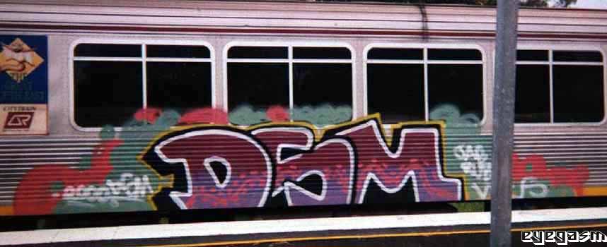 dsm02.jpg