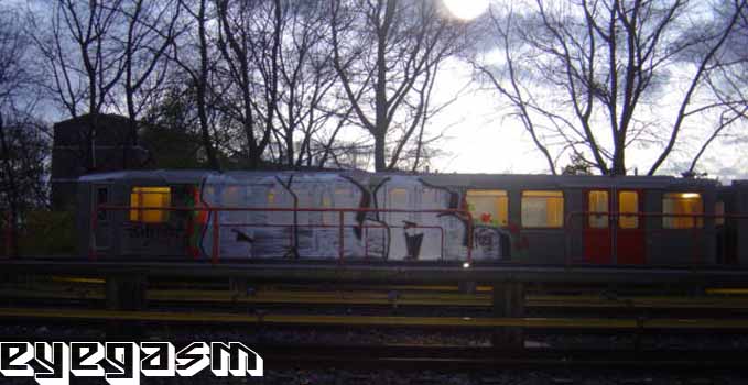 dtr01.jpg