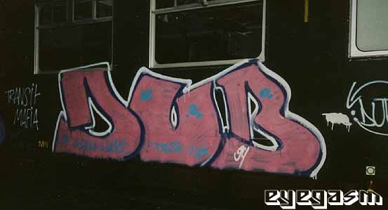 dub01.jpg