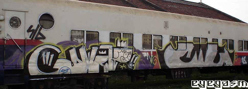 duen-culo01.jpg