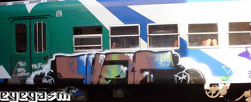 duen02.jpg