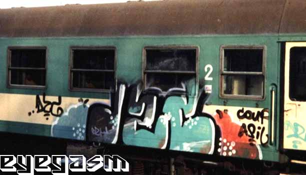 dzc01.jpg