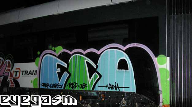 eco05.jpg