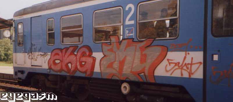 ekg-ekg01.jpg