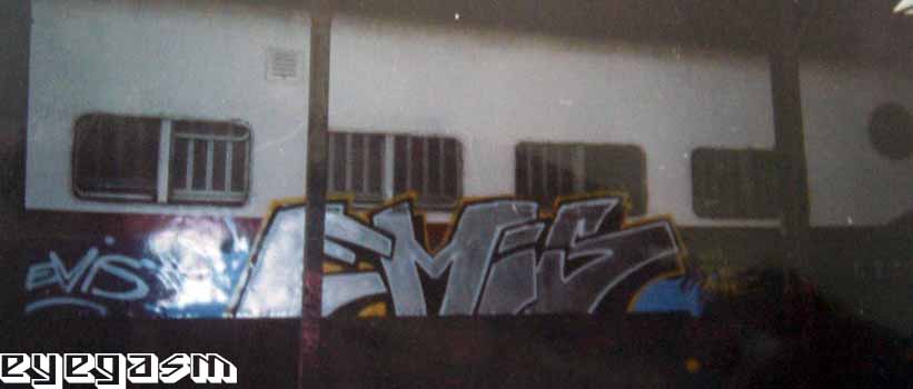 emis05.jpg