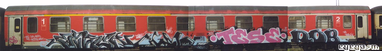 emser-igm-tese-rob.jpg