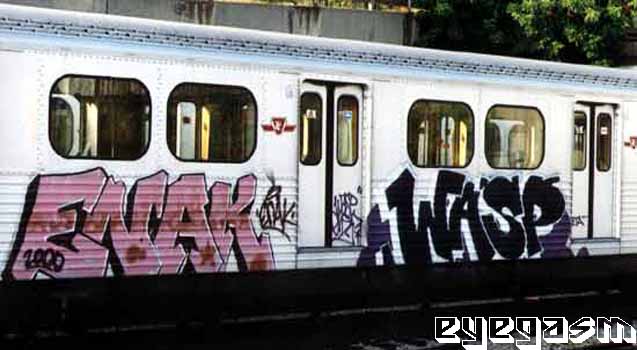 enak-wasp01.jpg