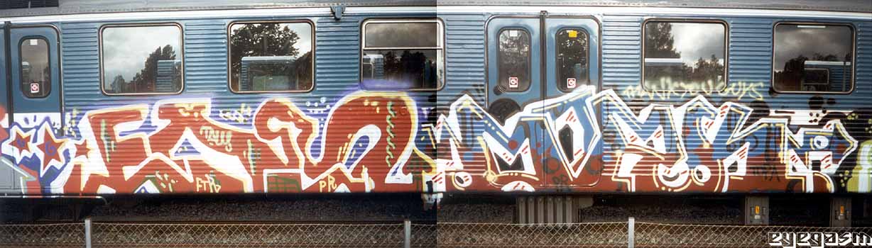 ens-dork01.jpg