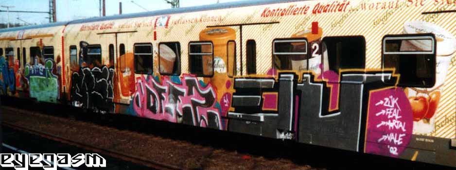 ensi-dfez-eks01.jpg