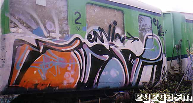 envi01.jpg