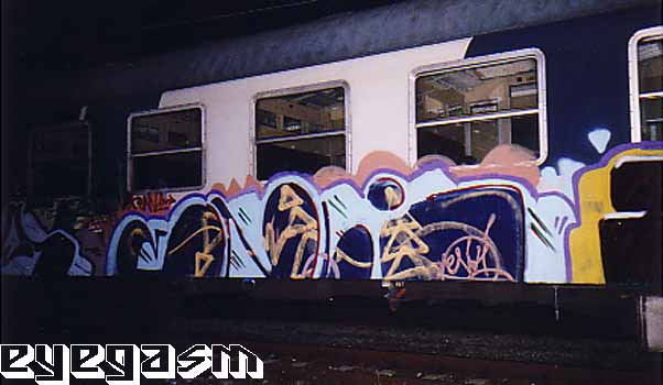 envi06.jpg