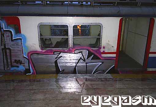 erk01.jpg