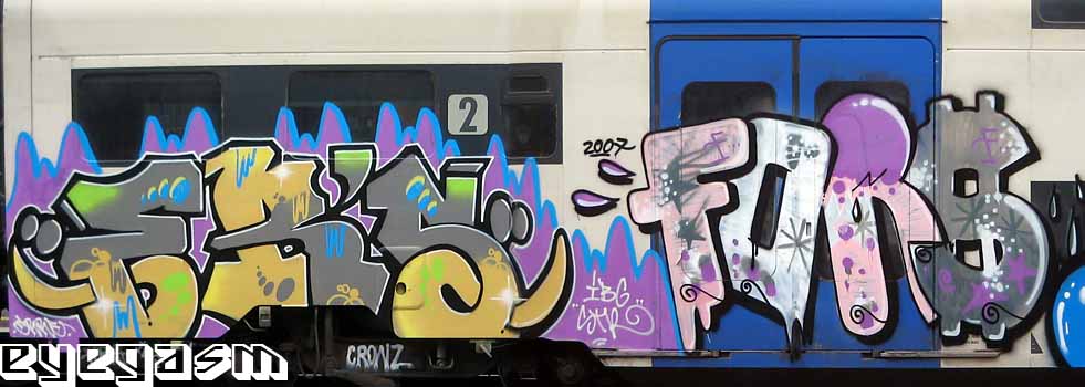 ers-fors01.jpg