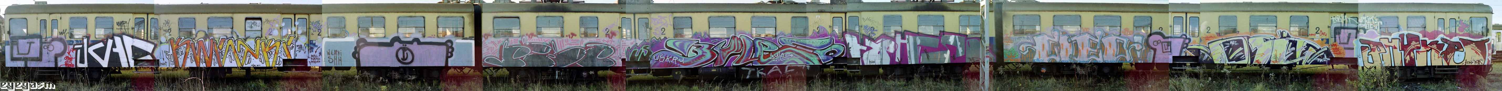 es-tkac-kwiatki-es-rebs-byleco-ybhso-cleo-es-osetus-es-phyke01.jpg