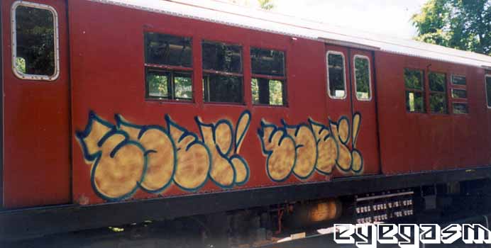 eser-eser01.jpg