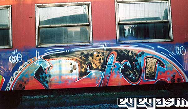 esteo01.jpg
