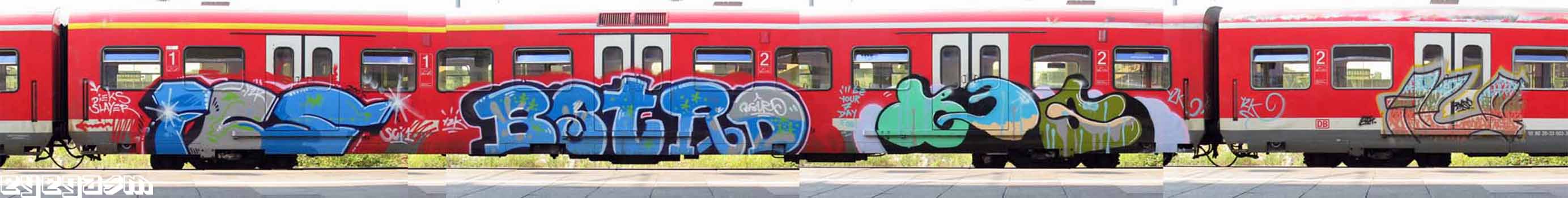 fcs-bstrd-beg01.jpg