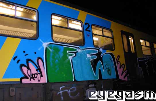 fe03.jpg