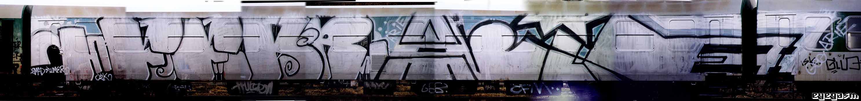 fear-arie-wc01.jpg
