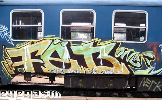febone01.jpg
