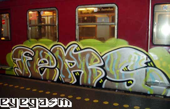 fers01.jpg