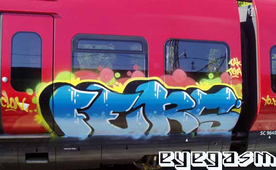 fers05.jpg