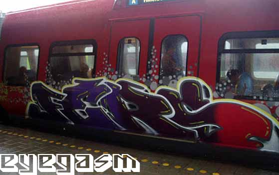 fers08.jpg