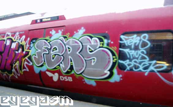 fers12.jpg