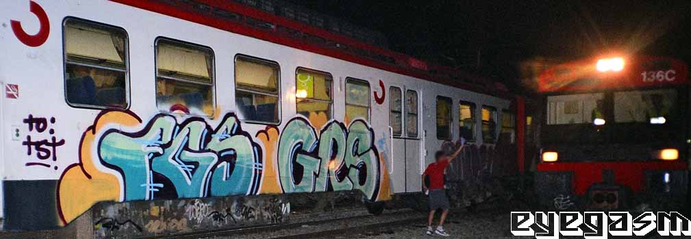 fgs-grs01.jpg